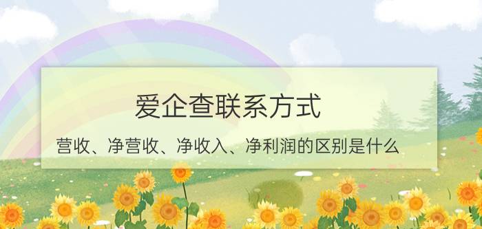 爱企查联系方式 营收、净营收、净收入、净利润的区别是什么？